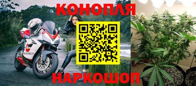 мяу мяу мука Пушкино