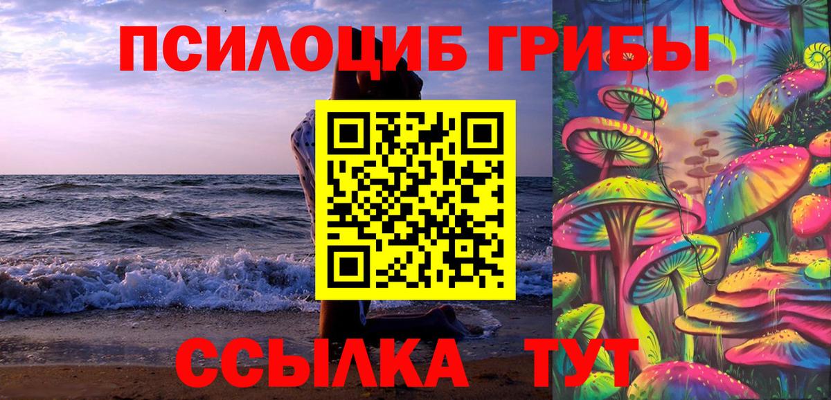 Галлюциногенные грибы Psilocybine cubensis Пугачёв